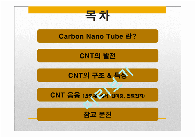 [자연과학] 전기화학 - Carbon Nano Tube[CNT] 탄소나노튜브의 응용   (2 )